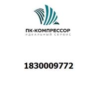 1830009772 GAS HOSE