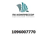 1096007770 PLATE