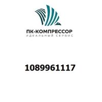 1089961117 MODULE
