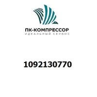 1092130770 PLATE LOCK