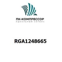 RGA1248665 O-RING