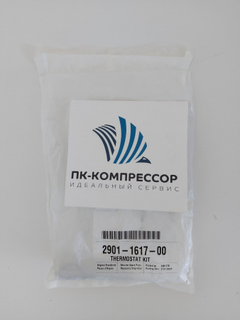 2901161700 THERMOSTAT KIT 60 DEGREE C (Набор для замены термостата)